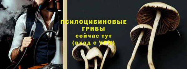 кокаин Белокуриха