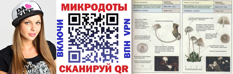 Псилоцибиновые грибы Psilocybine cubensis  Будённовск 