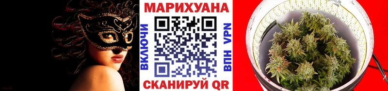 закладки  omg зеркало  Бошки Шишки White Widow  Будённовск 